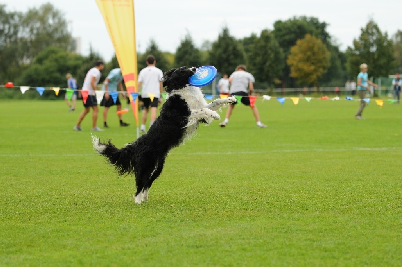 Image 706 of 855  -  212 kB