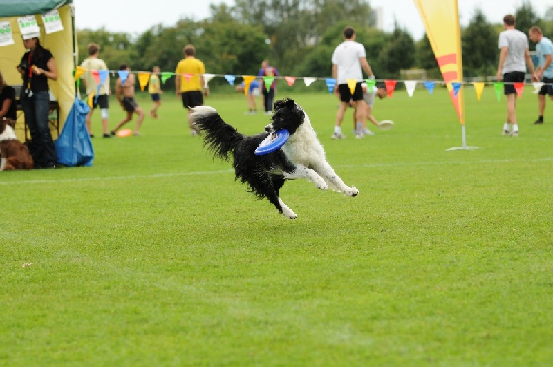 Image 707 of 855  -  218 kB