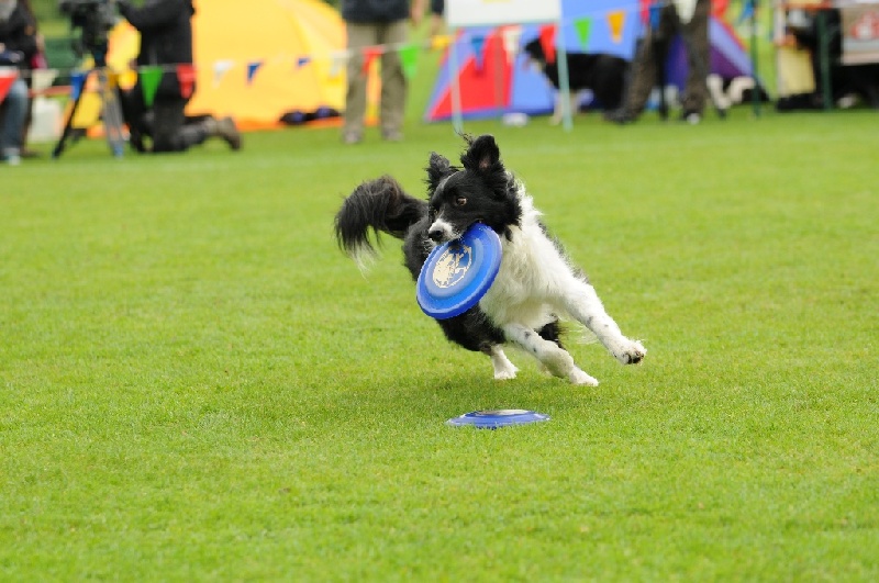 Image 708 of 855  -  217 kB