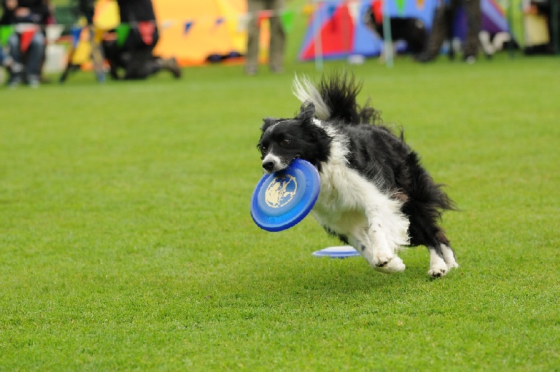 Image 709 of 855  -  222 kB