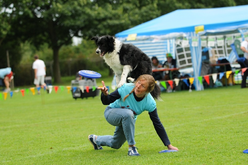 Image 710 of 855  -  224 kB