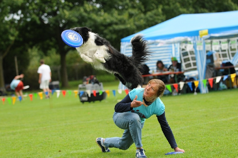 Image 711 of 855  -  218 kB