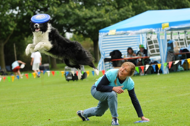 Image 712 of 855  -  232 kB