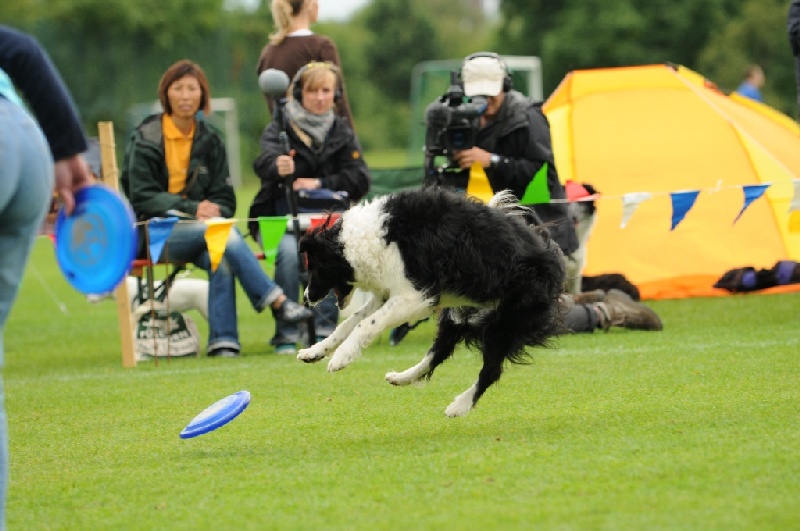 Image 713 of 855  -  205 kB