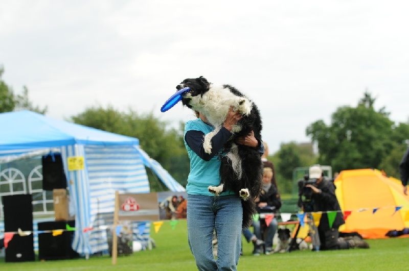 Image 714 of 855  -  173 kB