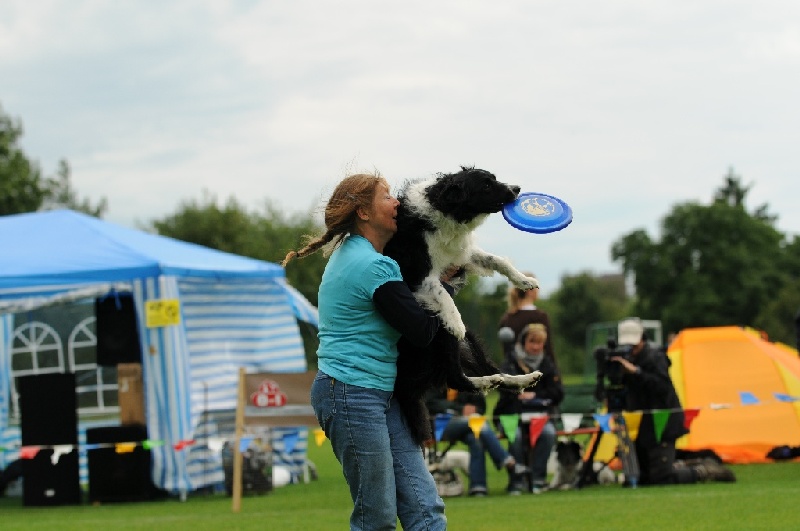 Image 715 of 855  -  175 kB