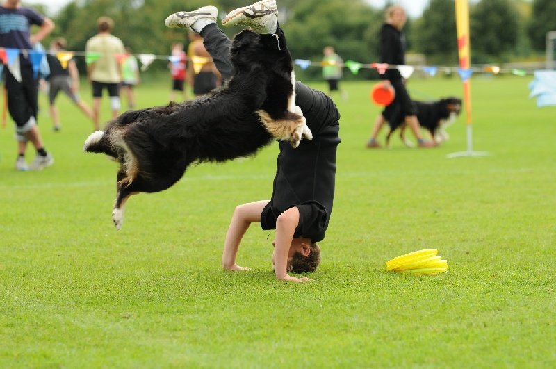 Image 717 of 855  -  218 kB