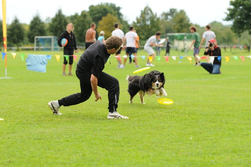 Image 718 of 855  -  222 kB