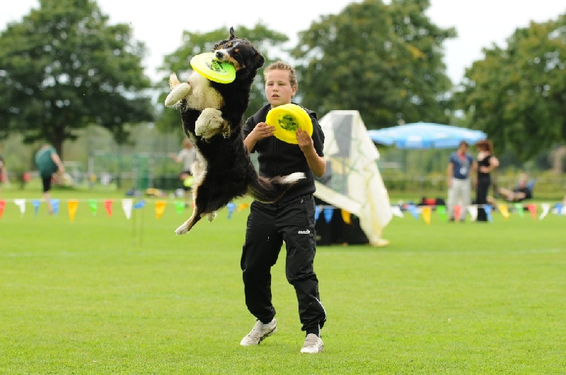 Image 719 of 855  -  209 kB