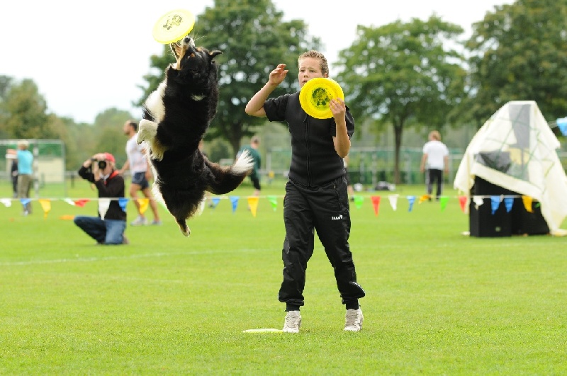 Image 721 of 855  -  217 kB