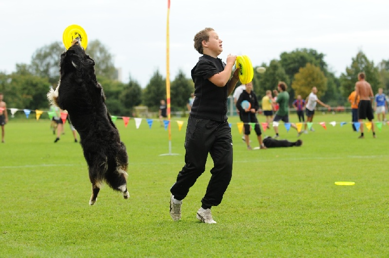 Image 723 of 855  -  212 kB