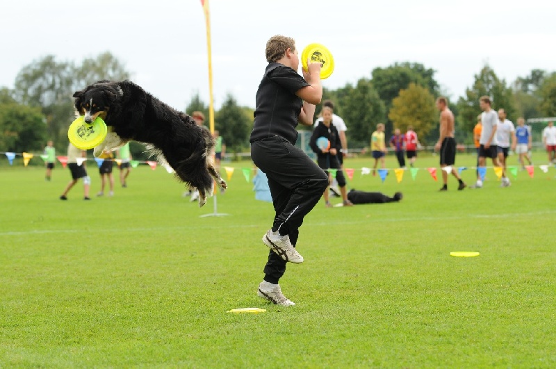 Image 724 of 855  -  215 kB