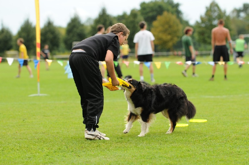 Image 725 of 855  -  211 kB