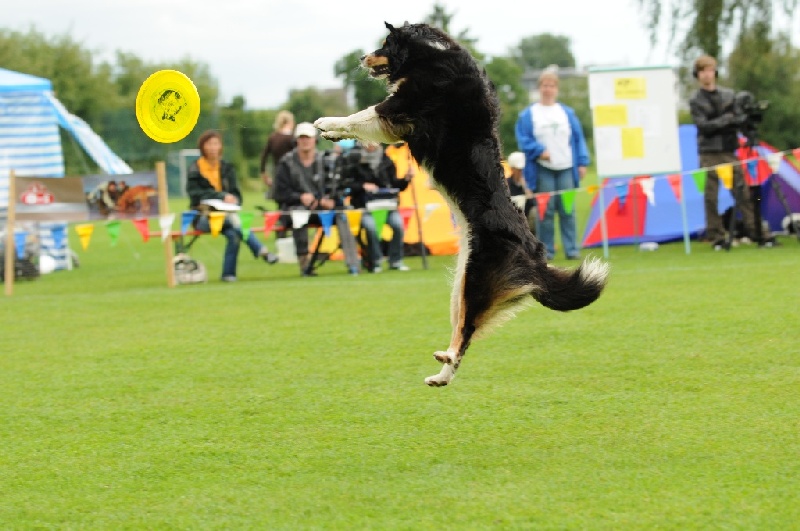 Image 727 of 855  -  207 kB