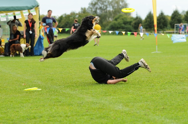 Image 728 of 855  -  230 kB