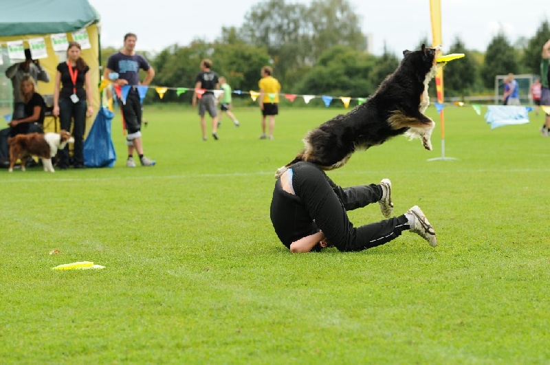 Image 729 of 855  -  228 kB