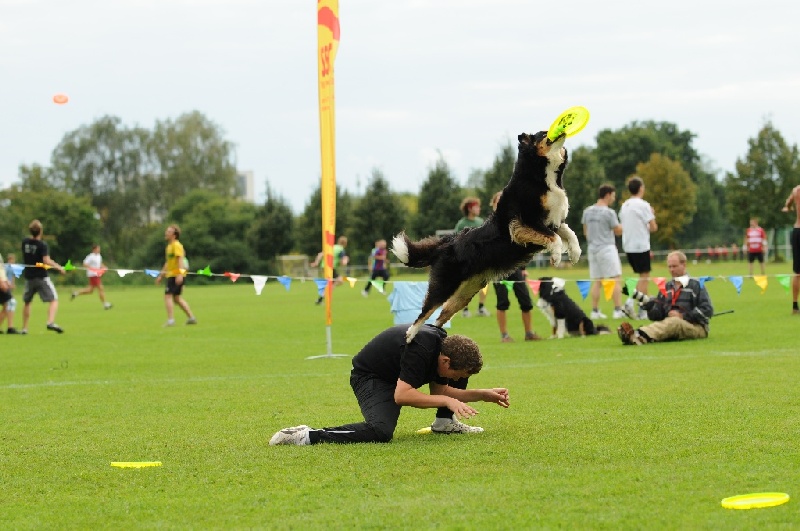 Image 732 of 855  -  211 kB