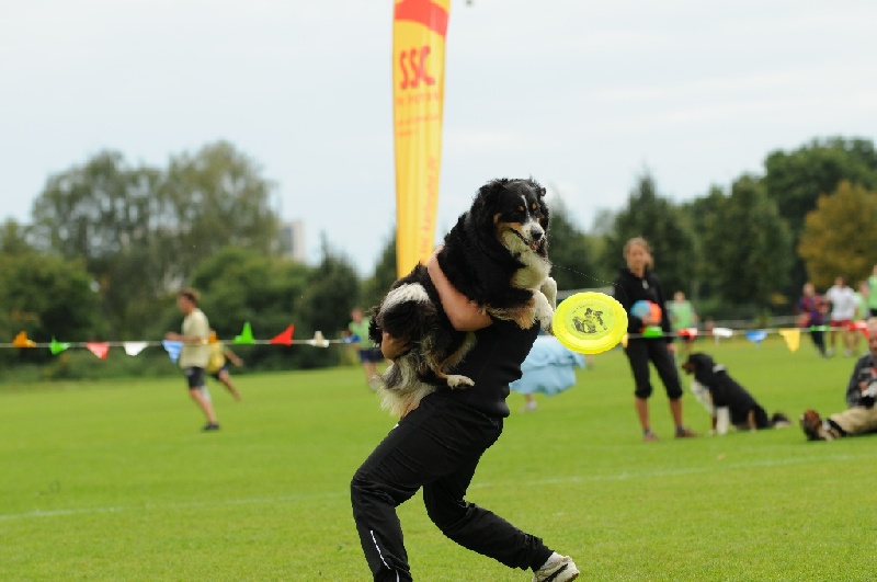 Image 733 of 855  -  174 kB