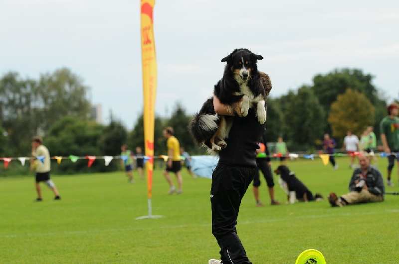 Image 734 of 855  -  169 kB