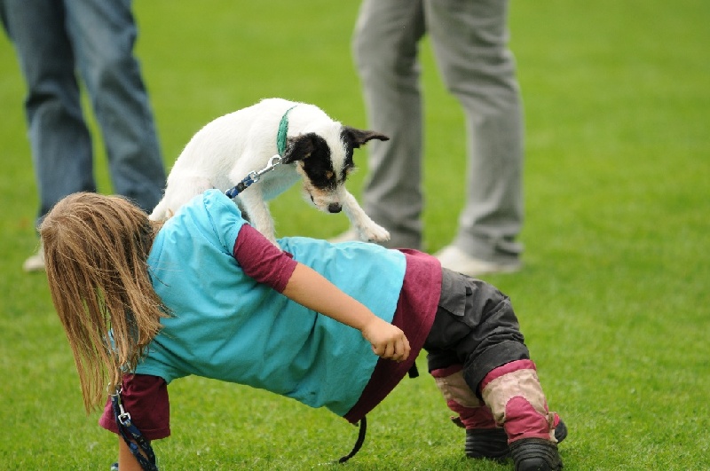 Image 735 of 855  -  206 kB