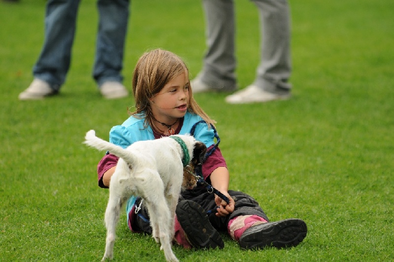 Image 736 of 855  -  213 kB