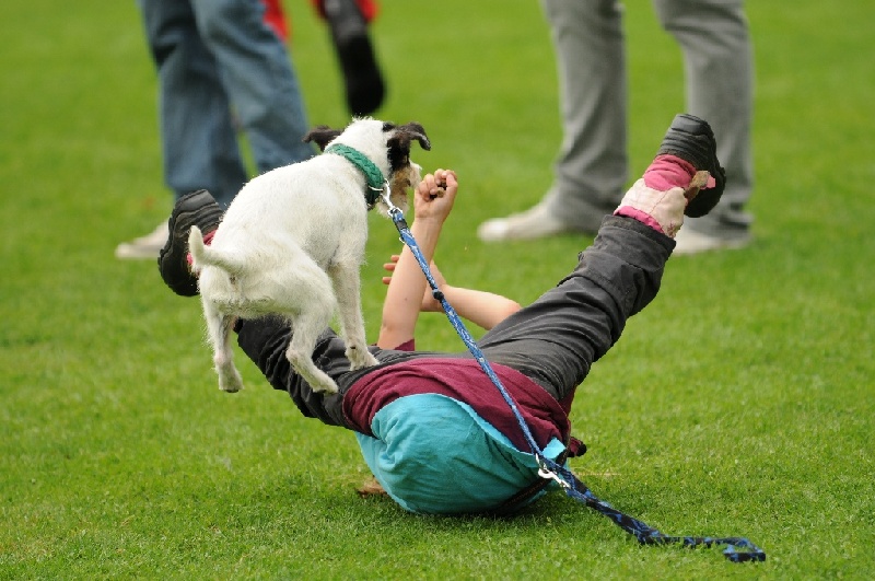 Image 737 of 855  -  227 kB