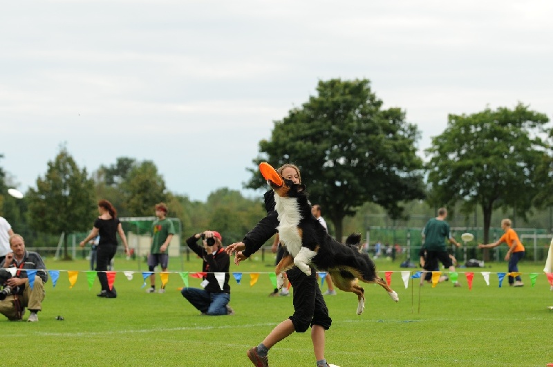 Image 738 of 855  -  194 kB