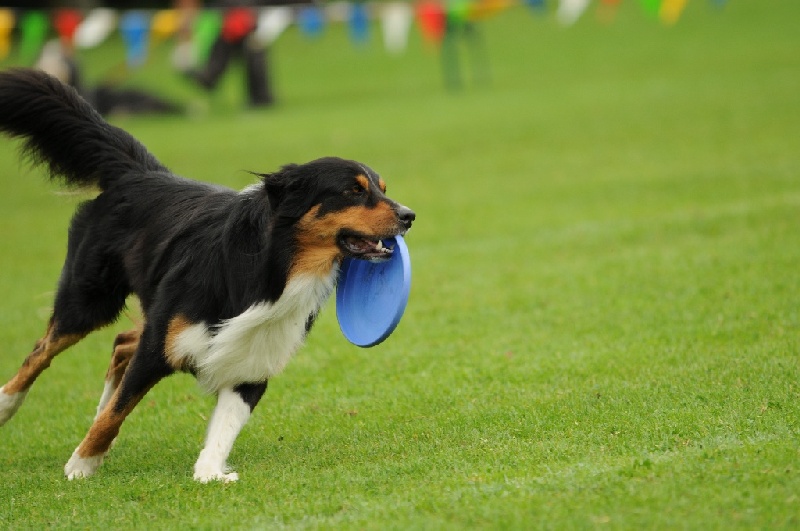 Image 740 of 855  -  194 kB