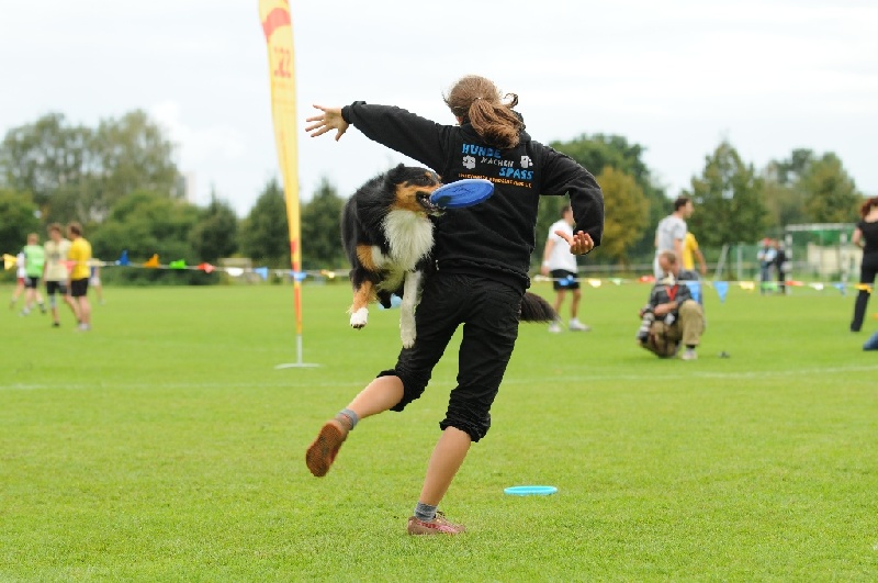 Image 741 of 855  -  205 kB