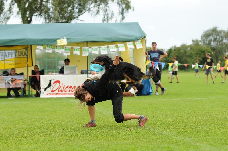 Image 742 of 855  -  233 kB