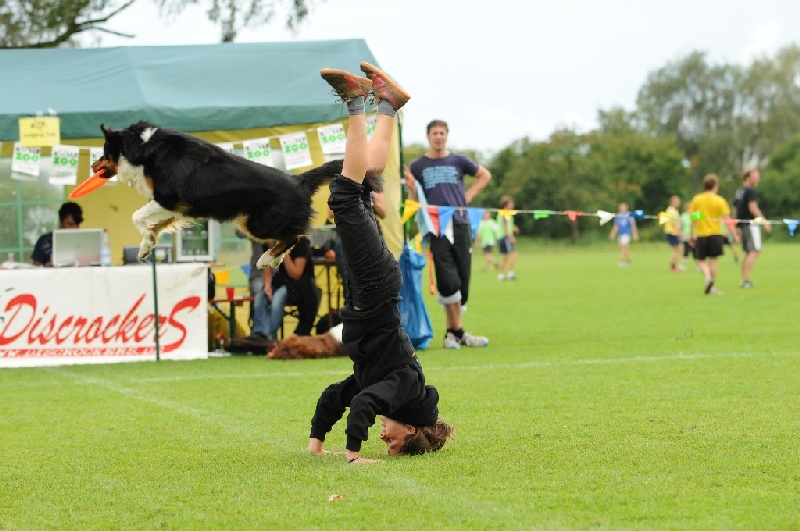 Image 743 of 855  -  220 kB