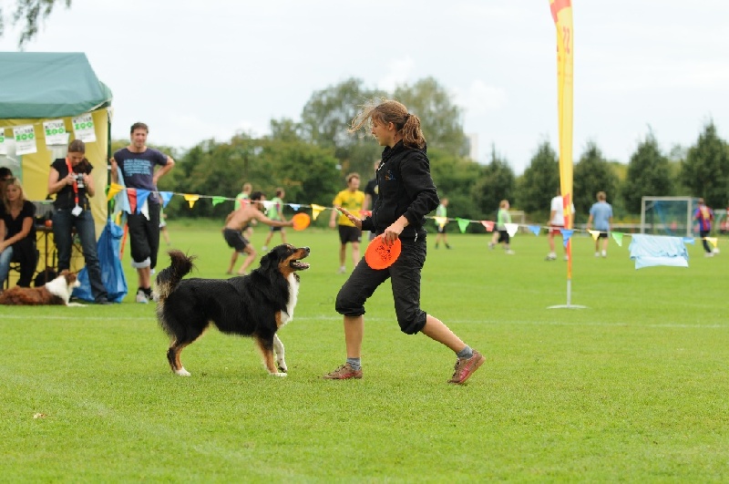 Image 744 of 855  -  219 kB