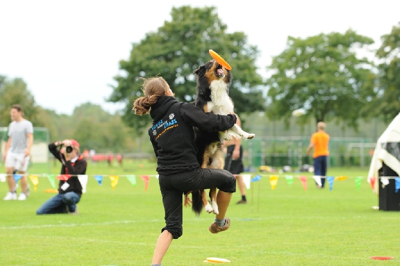 Image 745 of 855  -  188 kB