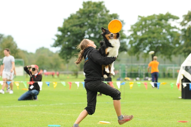 Image 746 of 855  -  190 kB