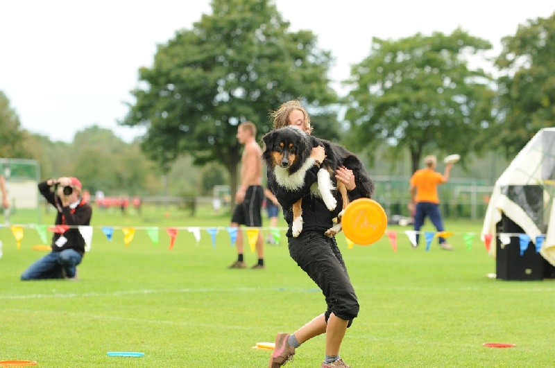 Image 747 of 855  -  200 kB