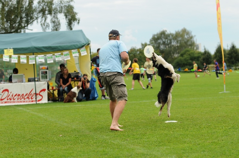 Image 748 of 855  -  234 kB