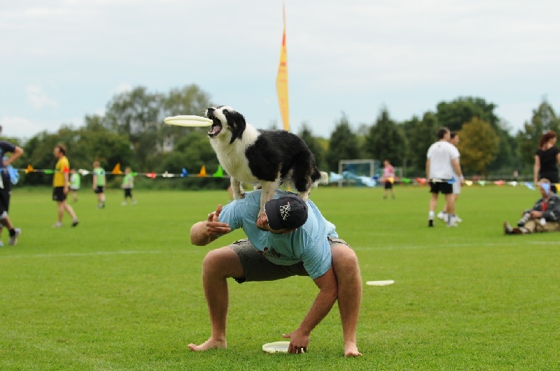 Image 749 of 855  -  192 kB