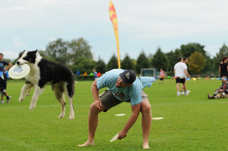 Image 751 of 855  -  191 kB