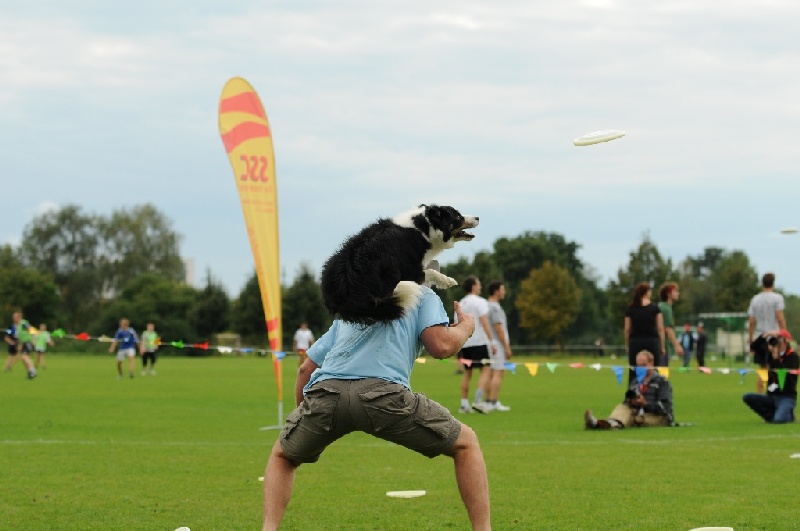 Image 752 of 855  -  171 kB