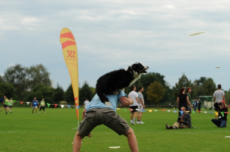 Image 753 of 855  -  166 kB