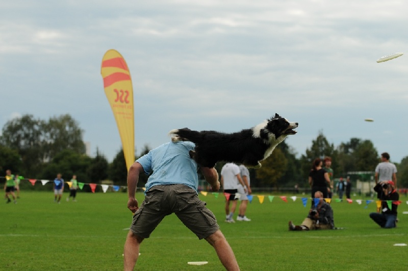 Image 754 of 855  -  167 kB