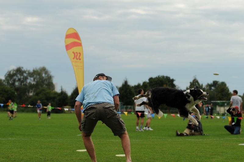 Image 755 of 855  -  171 kB