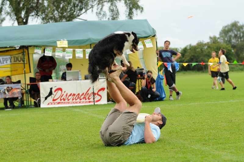 Image 756 of 855  -  239 kB