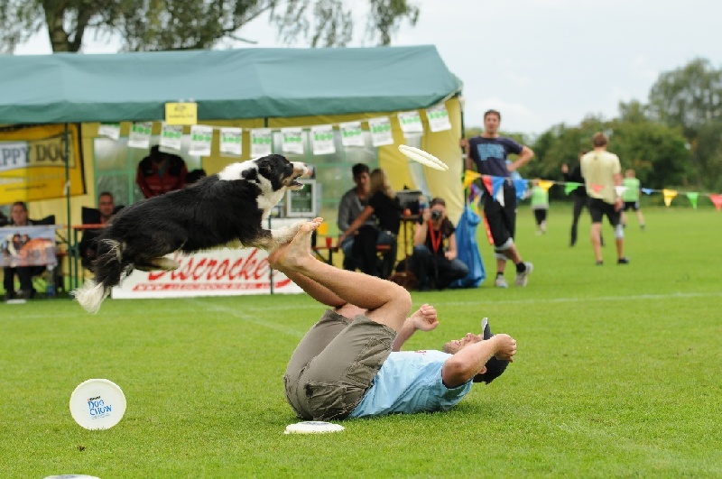 Image 760 of 855  -  229 kB