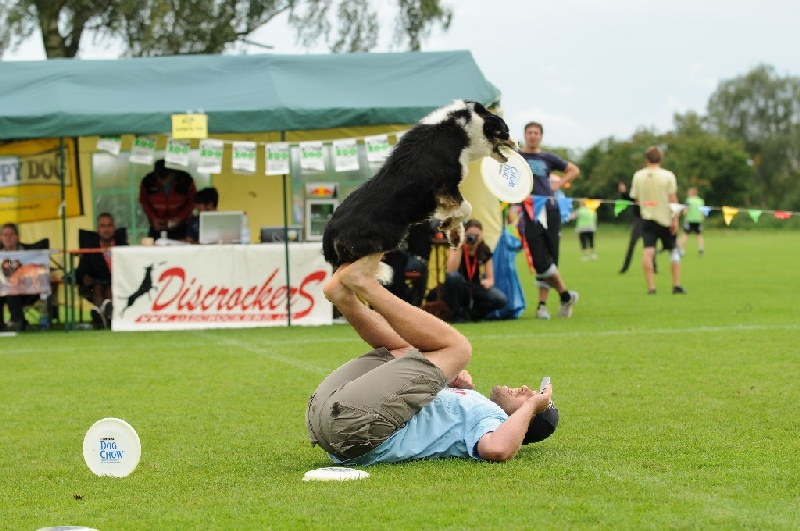 Image 761 of 855  -  229 kB