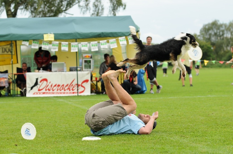 Image 762 of 855  -  229 kB