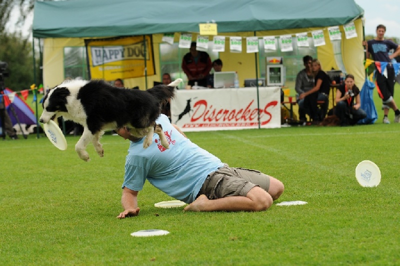 Image 763 of 855  -  239 kB