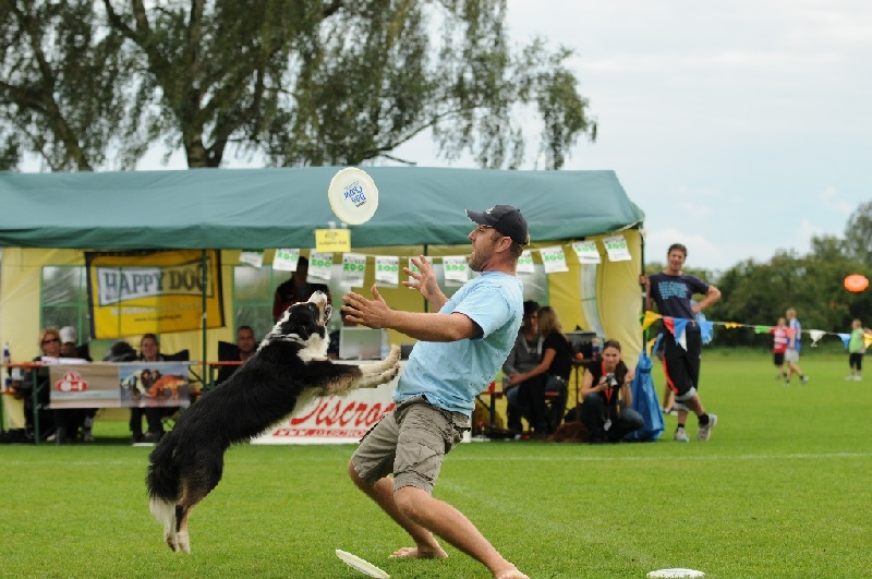 Image 764 of 855  -  236 kB