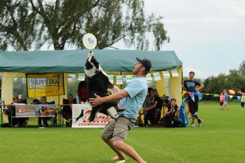 Image 765 of 855  -  234 kB