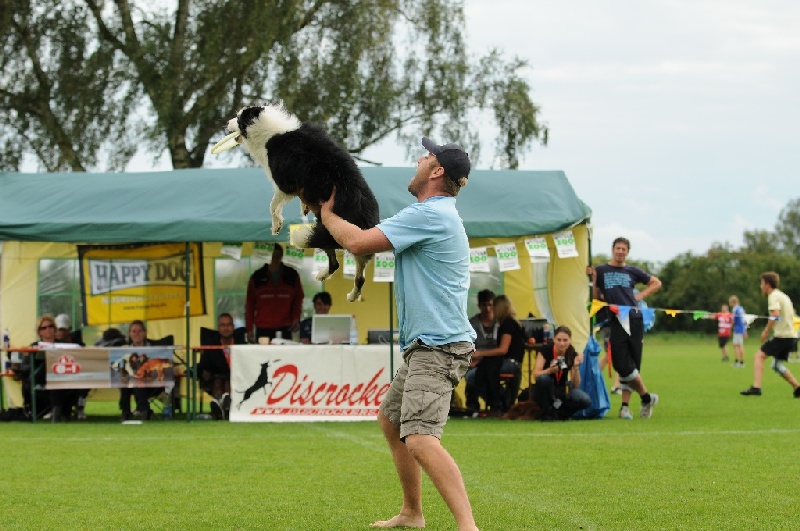 Image 766 of 855  -  233 kB